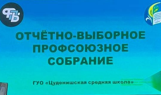 Отчетно-выборное собрание в первичной профсоюзной организации учреждения