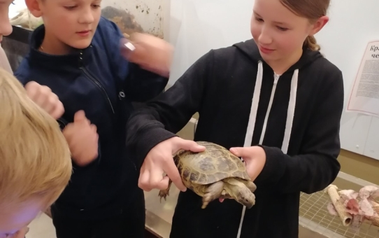 Экскурсия в Ошмянский краеведческий музей им. Ф. Богушевича