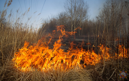 Весенние пожары: опасности и меры предосторожности