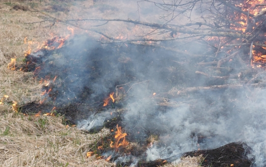 Служба 101 сообщает