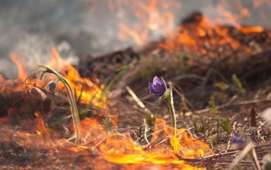 Служба 101 сообщает