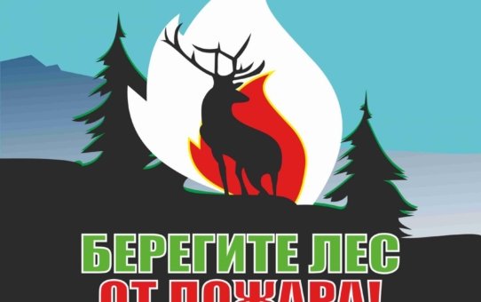 Пожарная безопасность в лесу